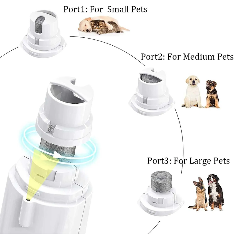 Illustration of how LED light illuminates pet's quick for safe and stress-free trimming