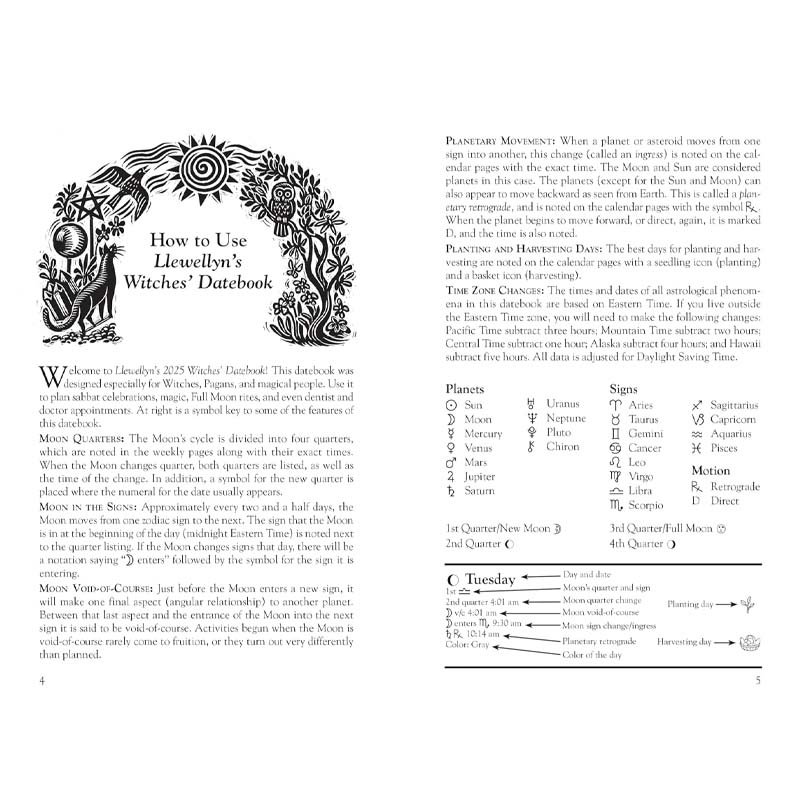 Back cover of the 2025 Witches' Datebook showing a mystical design, a practical gift