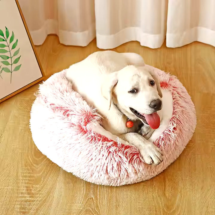 "2-in-1 Cosy Dog Cuddle Cave Bed in plush material, semi-enclosed for comfort and warmth, ideal for pets in all seasons."