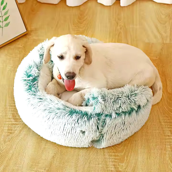 "2-in-1 Cosy Dog Cuddle Cave Bed in plush material, semi-enclosed for comfort and warmth, ideal for pets in all seasons."