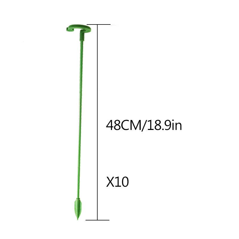 Garden plant support stakes providing stability to a sprawling vine in a home garden setup
