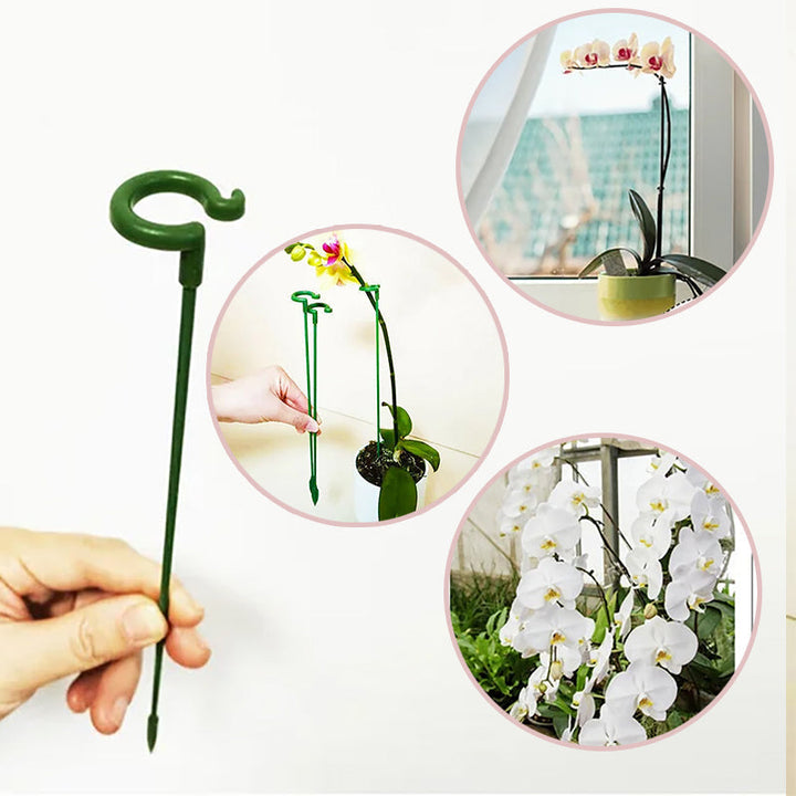 Close up of a single green garden plant support stake, ready for effective stem protection
