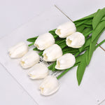 White（7pcs）