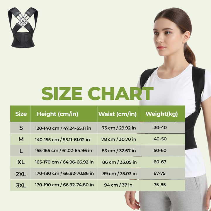"Adjustable back support belt with massage roller for men and women shown in lifestyle setting, enhances posture and comfort.