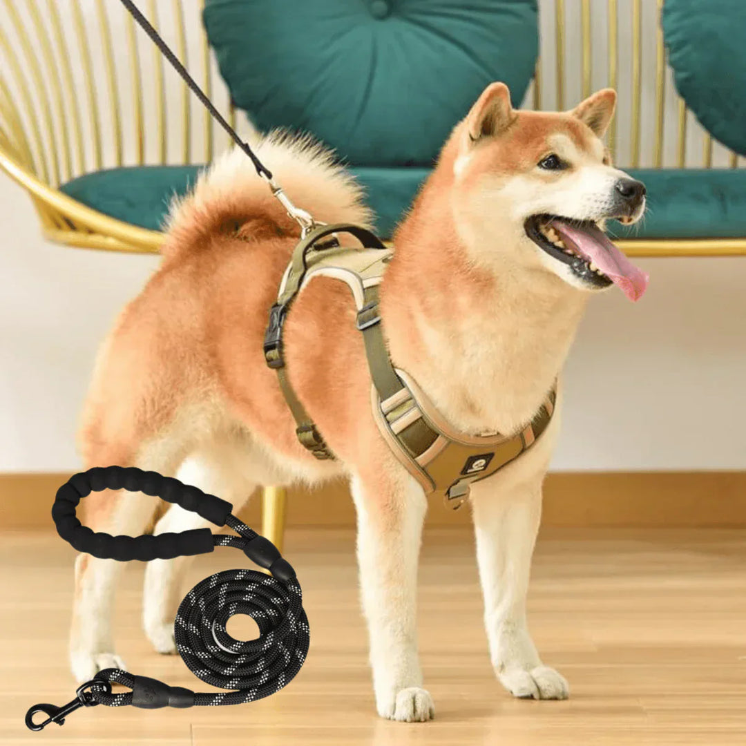 "Anti-Trek Dog Harness in Blue with comfort padding, prevents pulling, adjustable straps, available in multiple colours."
