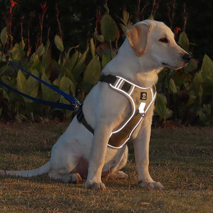"Anti-Trek Dog Harness in Blue with comfort padding, prevents pulling, adjustable straps, available in multiple colours."