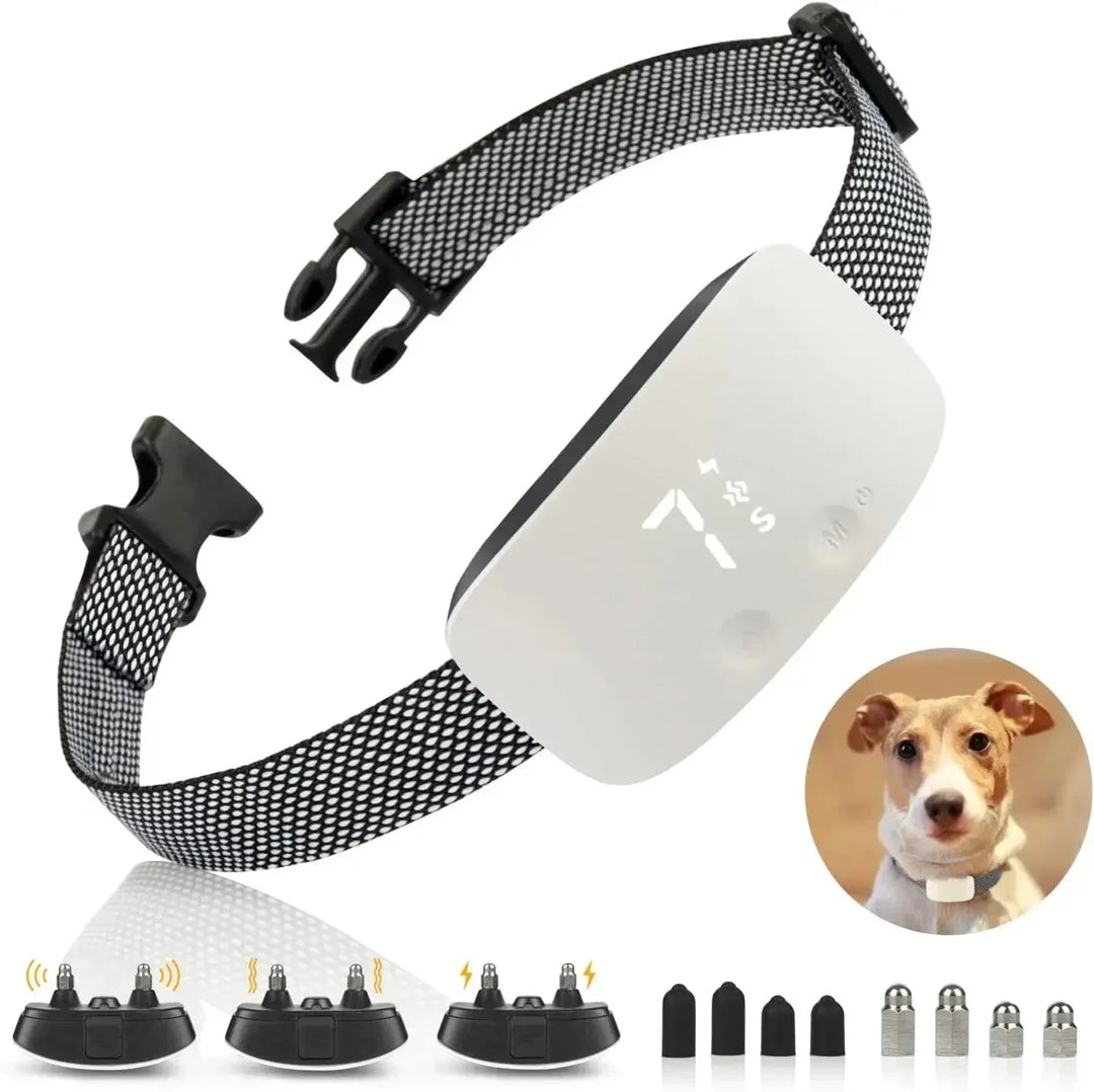 "Automatic anti-bark dog collar, sleek design, rechargeable, waterproof, adjustable nylon strap, durable for all dog sizes."