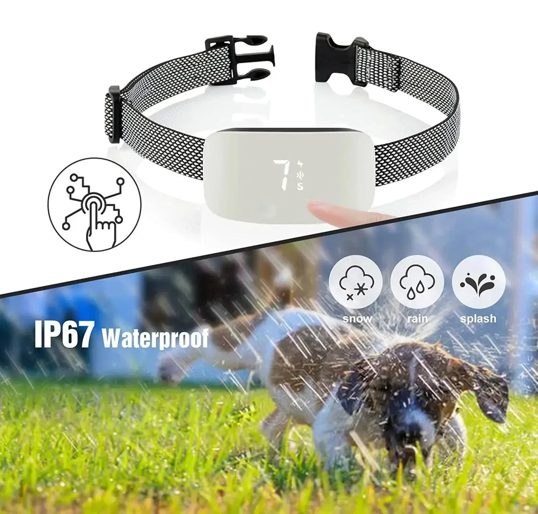 "Automatic anti-bark dog collar, sleek design, rechargeable, waterproof, adjustable nylon strap, durable for all dog sizes."