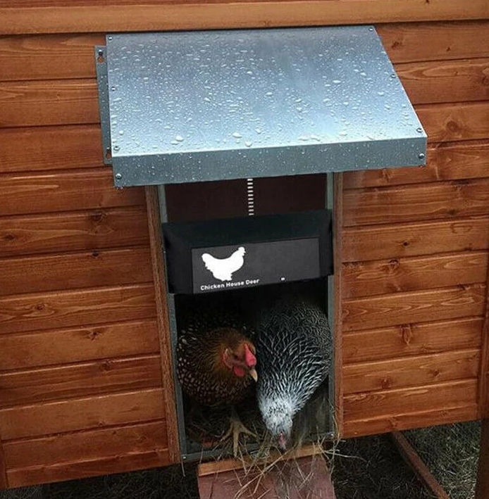 "Automatic chicken coop door system with solar options, shown in action with sleek design and easy installation features."