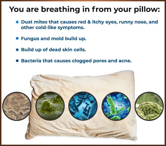 CarbonIce Pillow for all-season comfort with dual memory foam, featuring cooling tech and orthopedic design for restful sleep