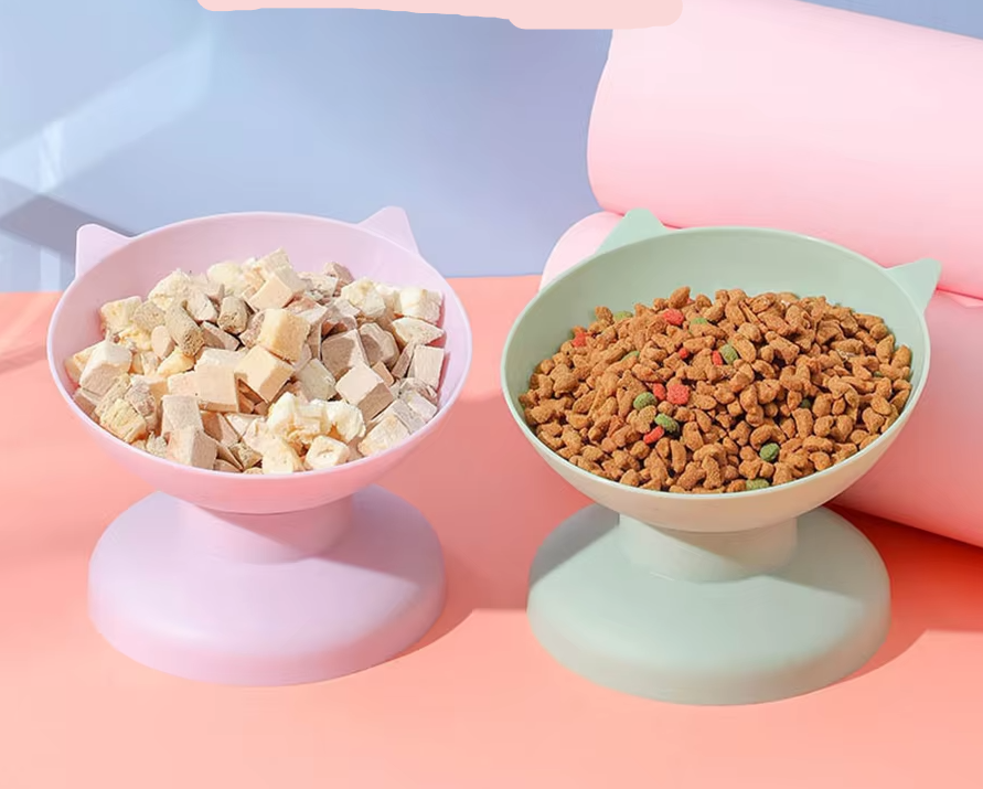 "Cat Feeding Bowl with 15° incline, vibrant colors, ergonomic design, durable non-slip base, perfect for healthy pet dining."