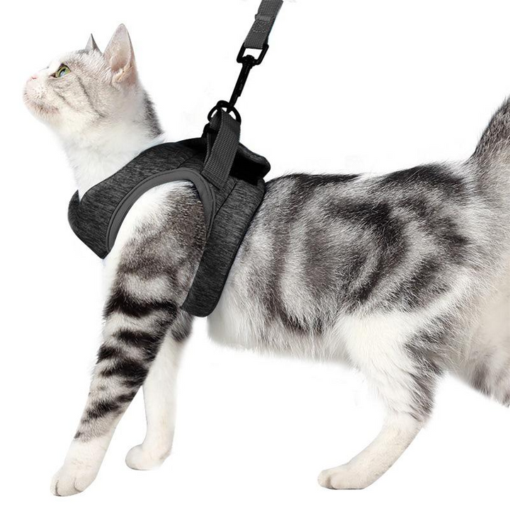 "Comfortable cat harness with lead, anti-escape design, adjustable straps, front view, for safe outdoor adventures."