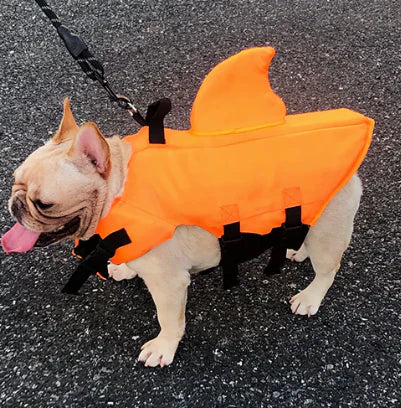 Dog life jacket with shark fin, offering buoyancy and fun for all water activities; bright material, adjustable straps.