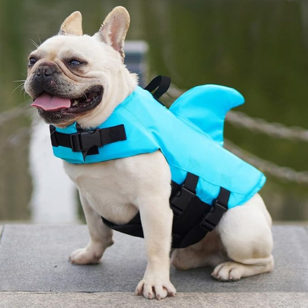 Dog life jacket with shark fin, offering buoyancy and fun for all water activities; bright material, adjustable straps.
