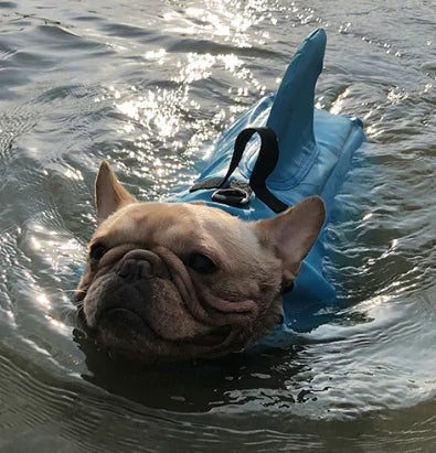 Dog life jacket with shark fin, offering buoyancy and fun for all water activities; bright material, adjustable straps.