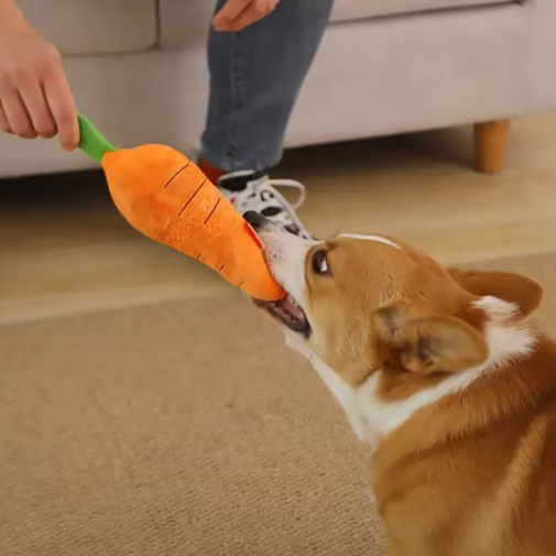 Plush carrot dog toy with soft orange fabric, green leafy top, durable squeaker; perfect for play and snuggles.