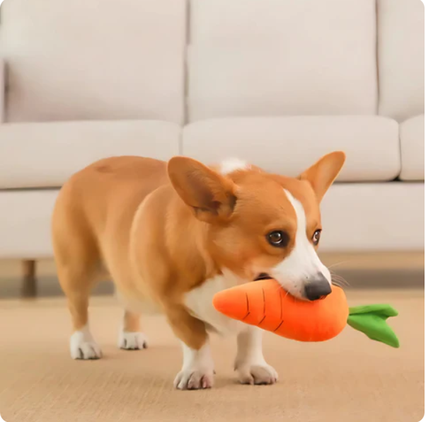 Plush carrot dog toy with soft orange fabric, green leafy top, durable squeaker; perfect for play and snuggles.