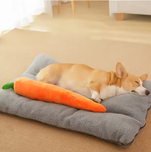Plush carrot dog toy with soft orange fabric, green leafy top, durable squeaker; perfect for play and snuggles.