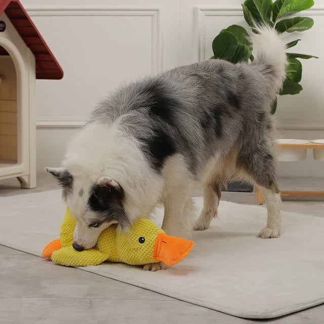 Soft plush duck toy for dogs, anti-stress companion, soothing comfort, gentle squeak, durable pet supplies.