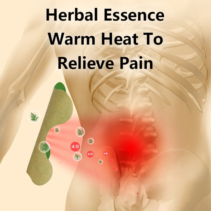 "Unisex back pain relief kit with natural herbal patches; effective for reducing chronic discomfort and enhancing mobility."