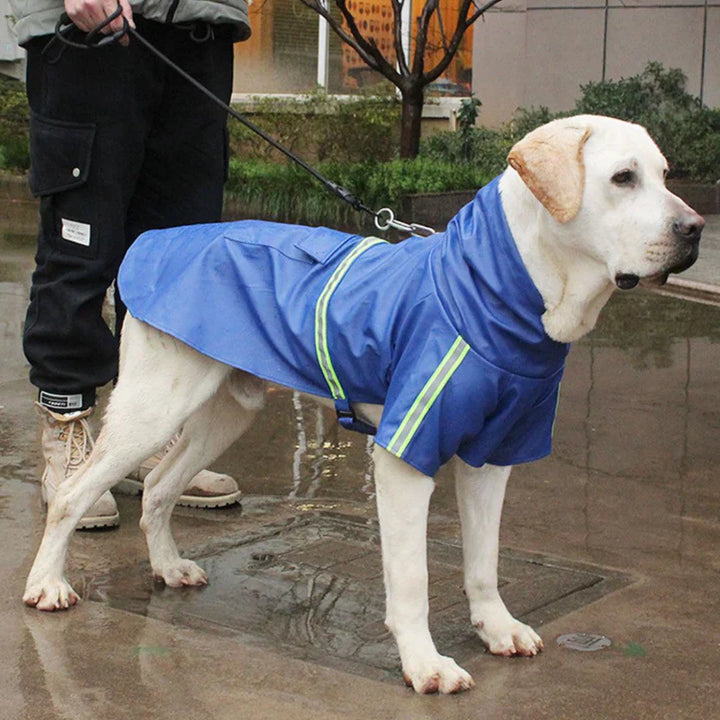 "Unisex waterproof dog jacket with hood and reflective stripes, ideal for rain and wind protection, adjustable fit."