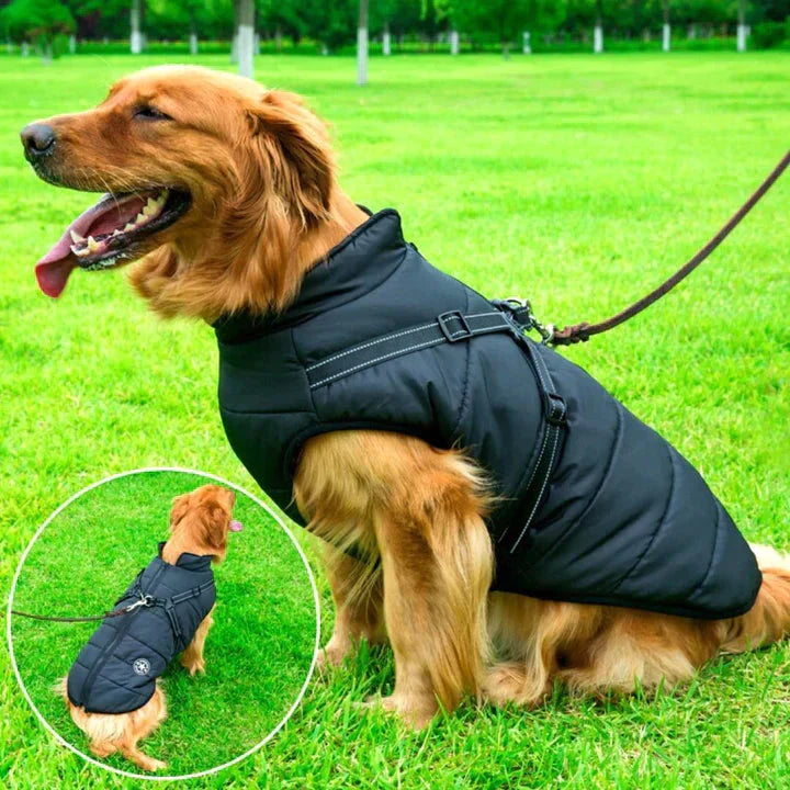 "Waterproof dog winter jacket with built-in harness, reflective stripes, and sherpa lining in vibrant colors for cold weather