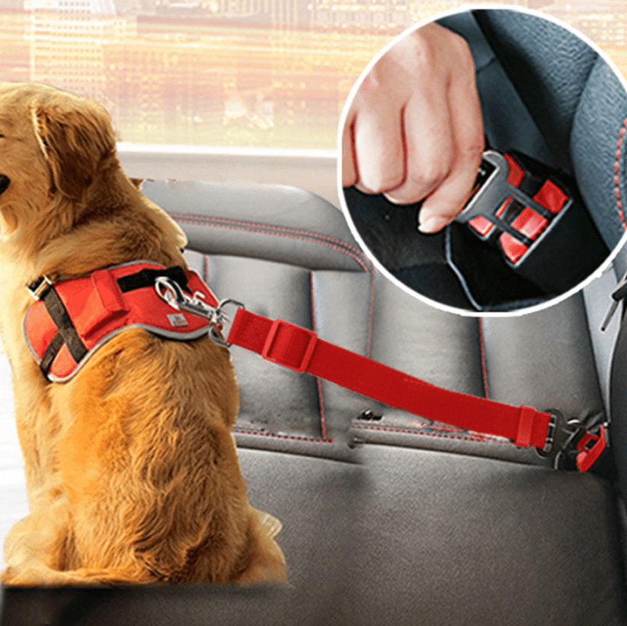 Adjustable nylon dog safety belt for secure car travel & pet vehicle restraint.