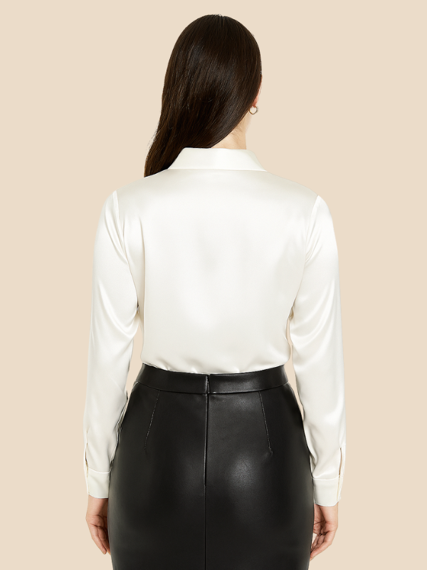 Professional Adriana long sleeve blouse, essential for women's office fashion.