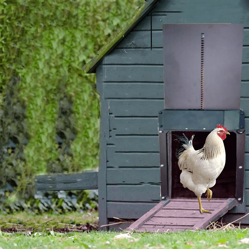 Automatic chicken coop door with environmental light sensor, perfect for farm and outdoor animal care