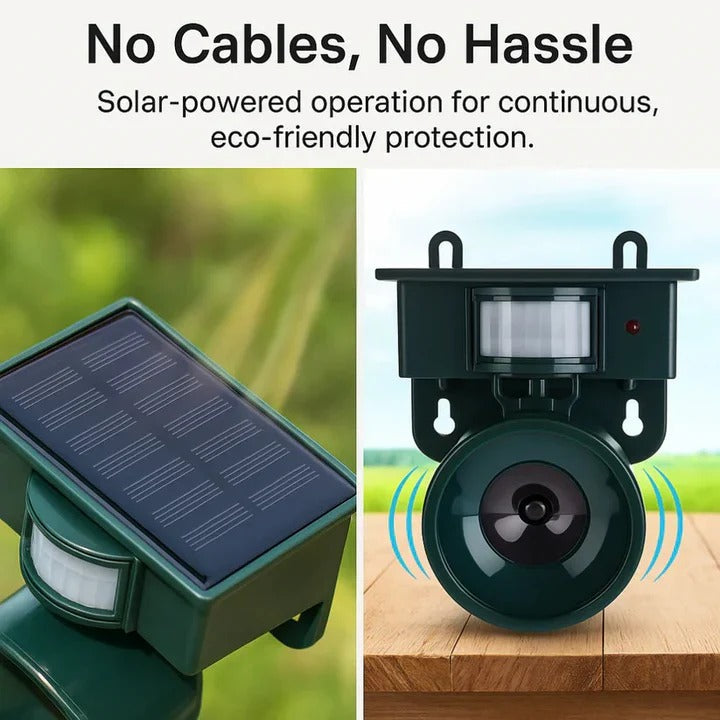 Humane motion sensor bird deterrent keeps pests out of your garden. Effective outdoor yard protection device.