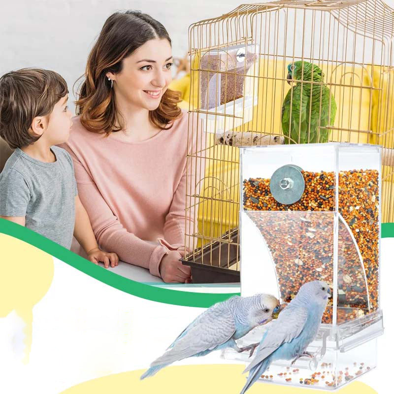 Automatic no-spill bird feeder, made from high-quality transparent material, a must-have bird accessory
