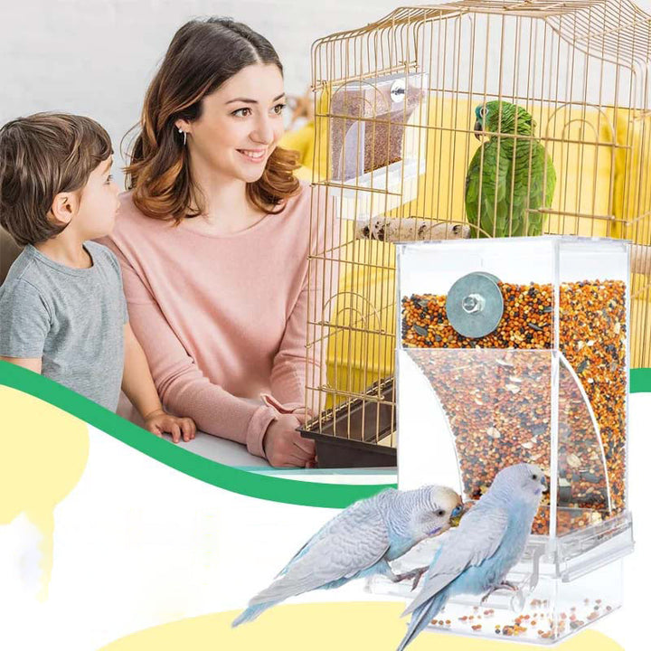 Automatic no-spill bird feeder, made from high-quality transparent material, a must-have bird accessory