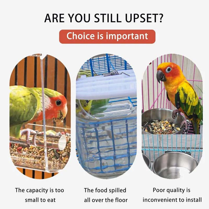 Automatic no-spill bird feeder, acrylic transparent design for small birds, essential bird accessory