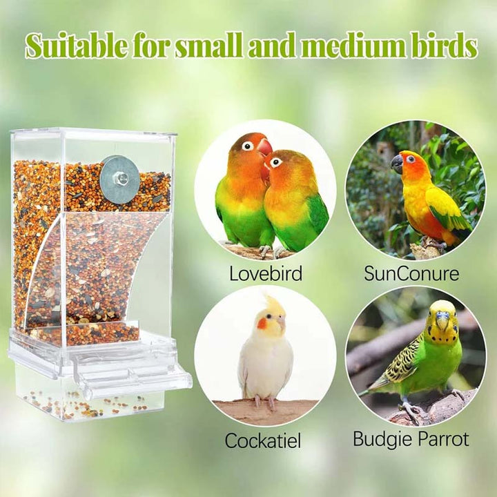 Non-spill transparent bird feeder attached to a cage, providing continuous food for pet birds