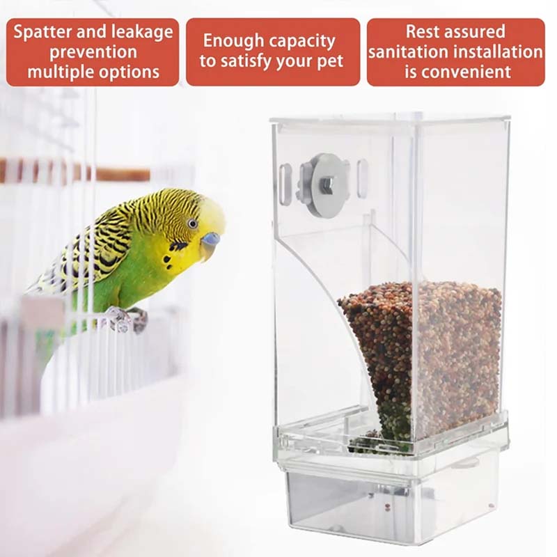 Empty transparent automatic bird feeder, showcasing no-spill design and easy refilling, bird care