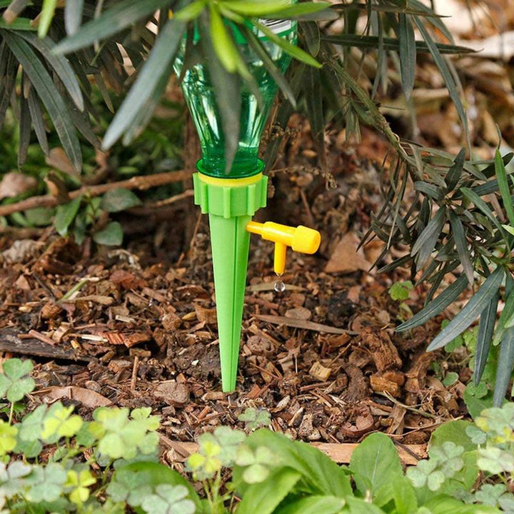 Potted plant with an automatic terracotta watering spike, illustrating effortless plant maintenance