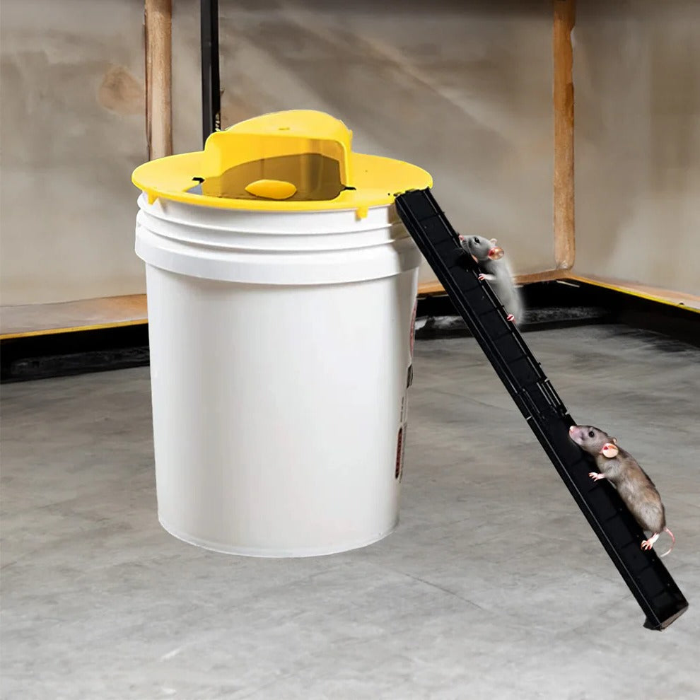 Automatic reset bucket trap for multi-rodent pest control. Reusable & eco-friendly mouse & rat trap for home.