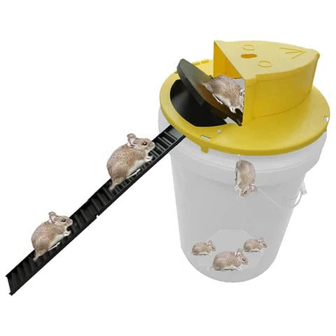 Secure your home with this automatic reset bucket trap for efficient multi-rodent pest control. Reusable rat & mouse solution.