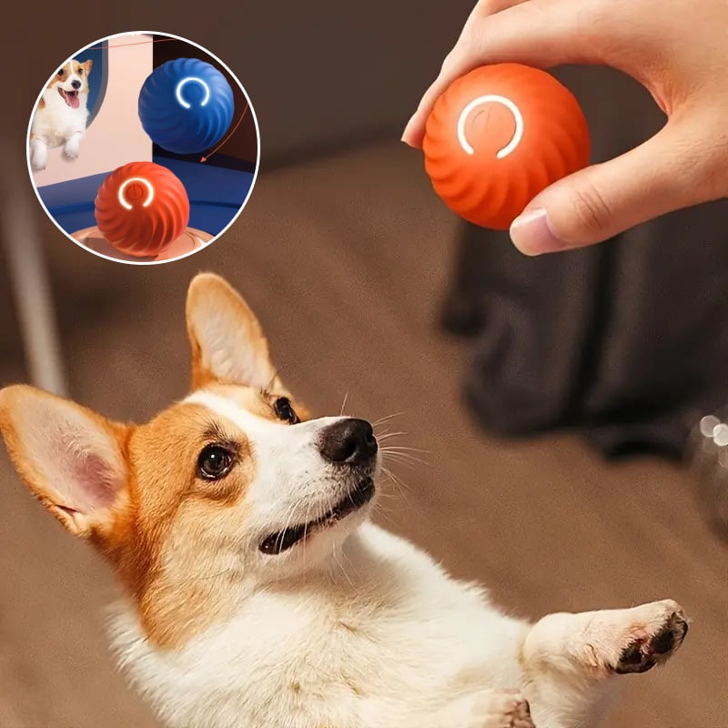 Automatic rolling pet toy ball for dogs, durable & interactive for enrichment playtime