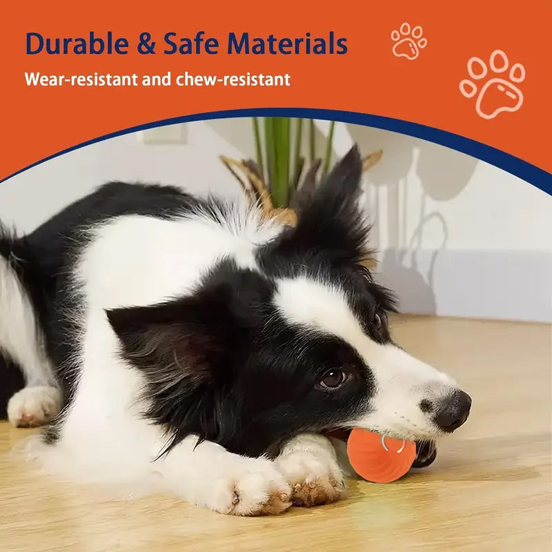 Interactive dog toy ball, automatically rolls to keep pets entertained & active