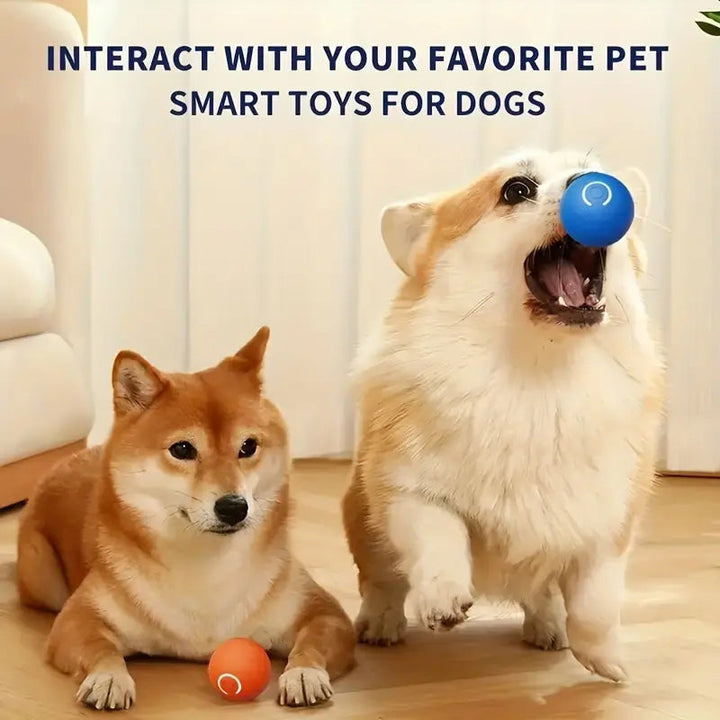 Interactive pet toy: automatic rolling ball with a textured surface for dog playtime