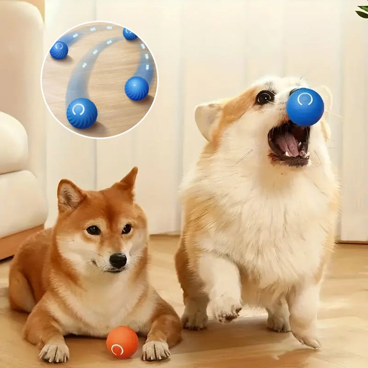 Automatic rolling dog toy, an engaging pet supply for active play and enrichment