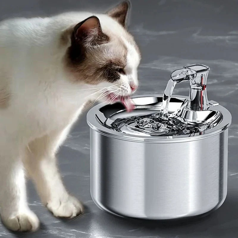 Automatic stainless steel cat water fountain with filter & motion sensor for fresh, healthy pet hydration.