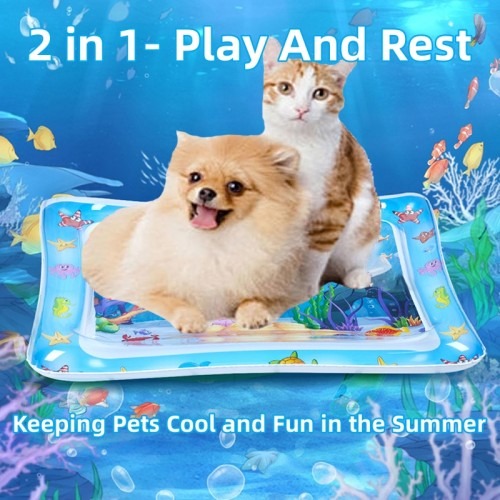 Cat playing on the interactive pet water play mat, splashing paws in the cool water