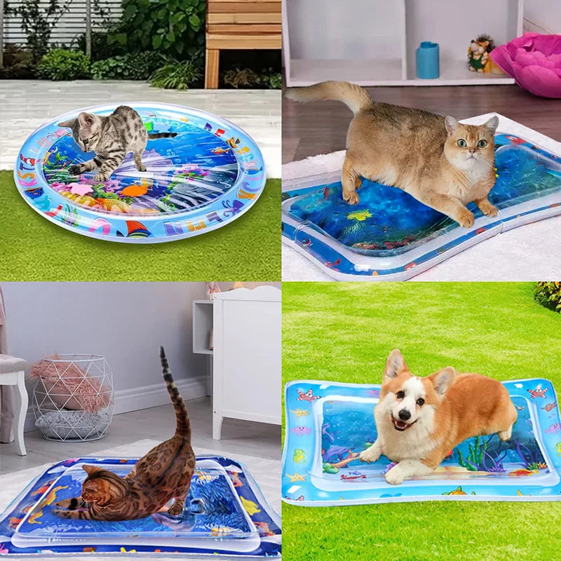 Interactive cat play mat demonstrating its ease of inflation and water filling for quick setup
