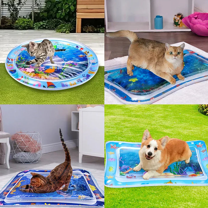 Interactive cat play mat demonstrating its ease of inflation and water filling for quick setup