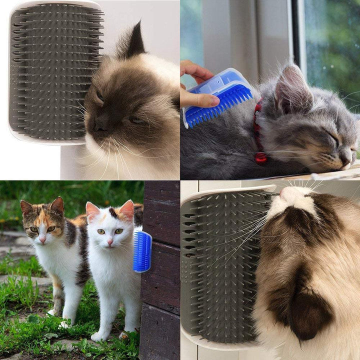 Interactive cat grooming tool: wall-mounted self-massager with catnip to attract your feline