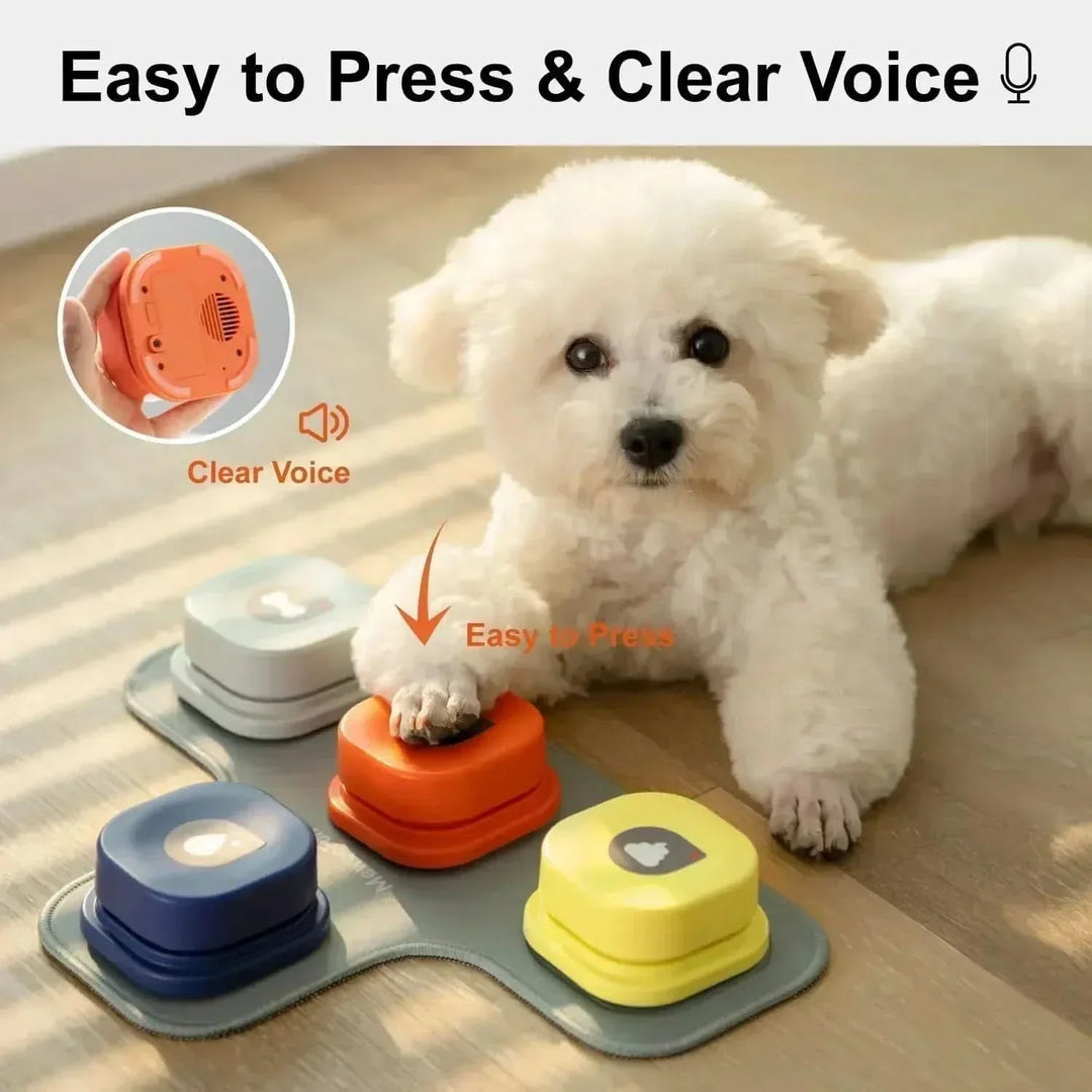 Owner teaching a puppy to use talking buttons, fostering enhanced pet communication & puppy training.