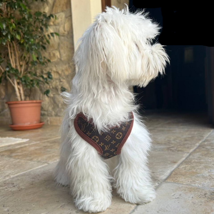 Brown no-pull dog harness and leash set, designed for comfort fit. Ideal for small to large dogs during walks.