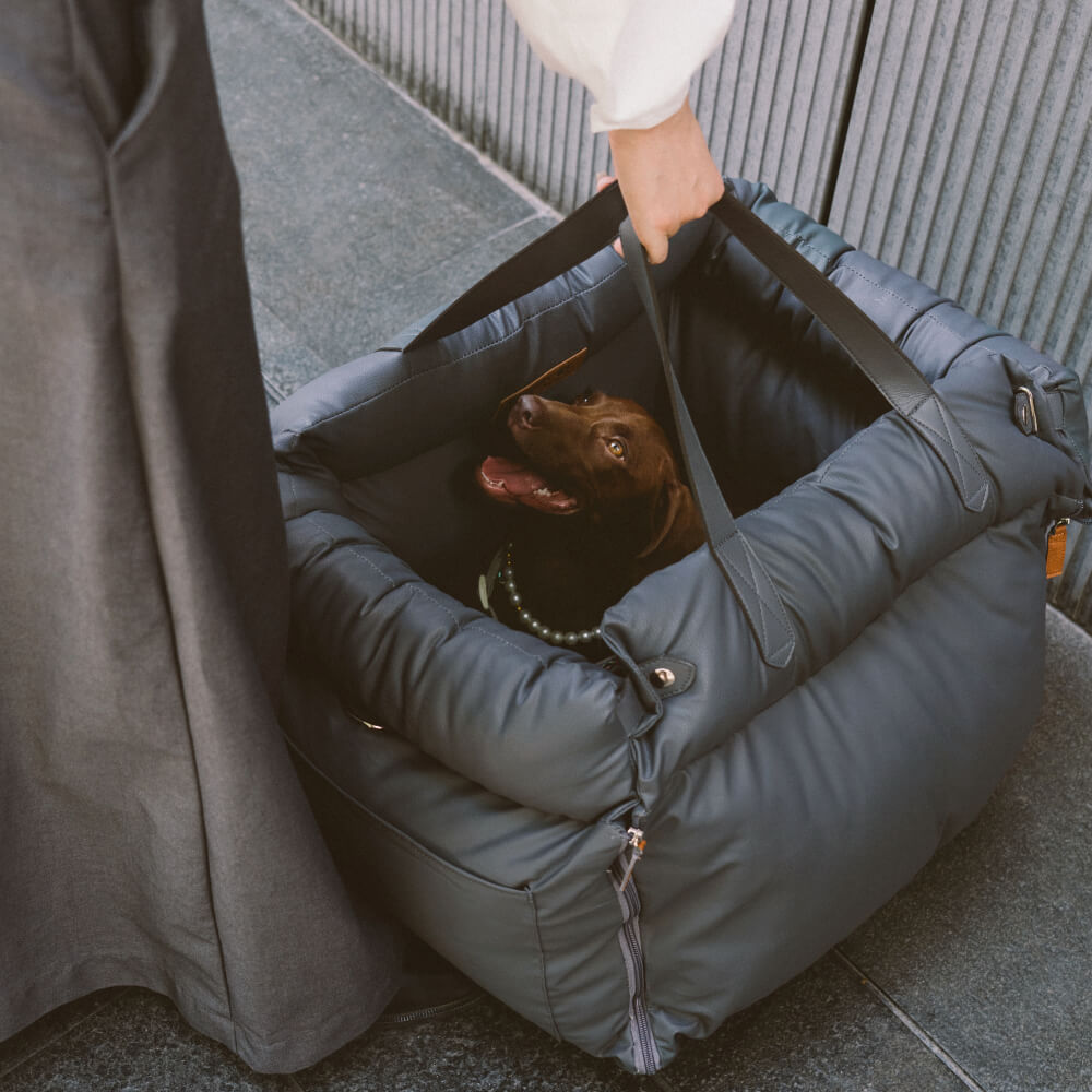 Safe and cozy faux leather dog car seat. Pet travel booster for security and comfort on the road.